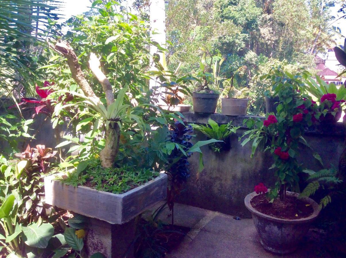 Rumah Irak Et Kadek Bali Убуд Экстерьер фото