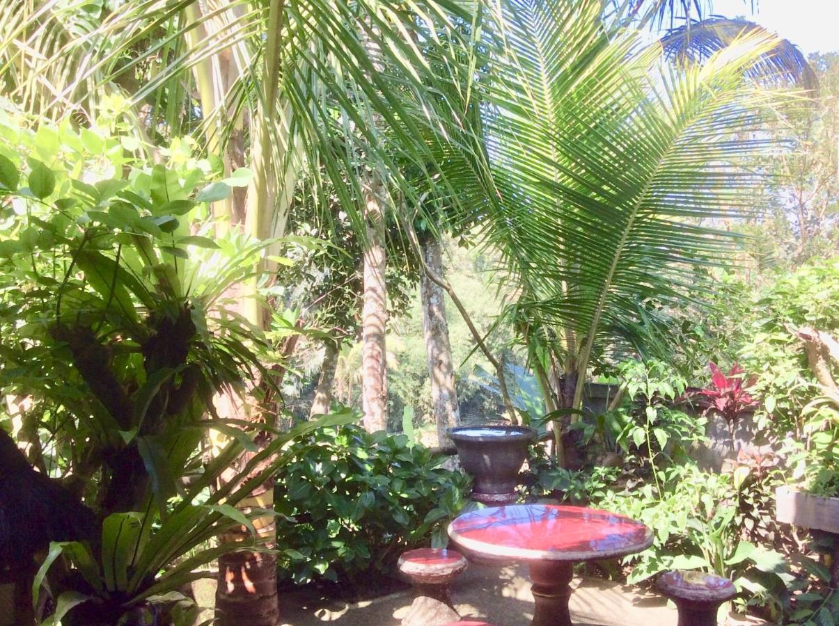 Rumah Irak Et Kadek Bali Убуд Экстерьер фото